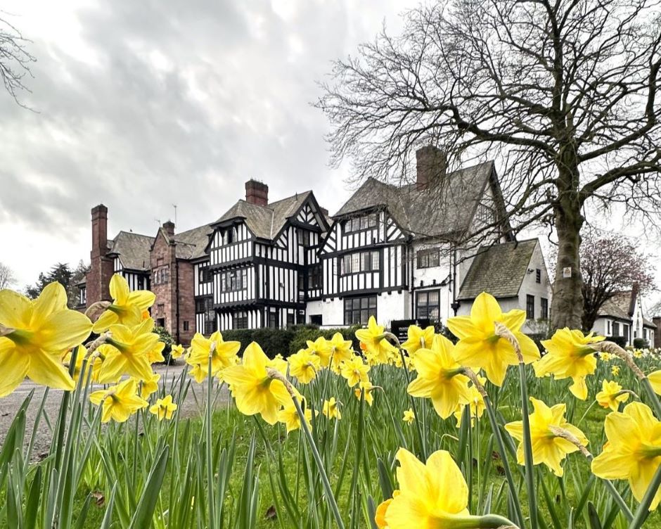 Inglewood Manor in the Spring with Daffodils